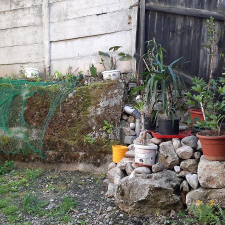 Casa Adrian Camere Centru Vechi ブラショフ エクステリア 写真
