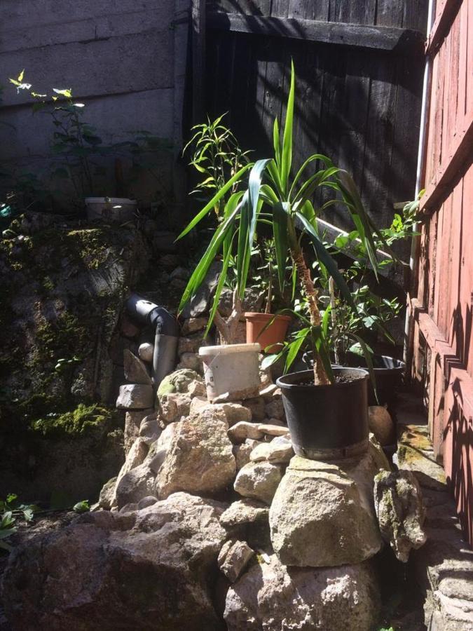 Casa Adrian Camere Centru Vechi ブラショフ エクステリア 写真